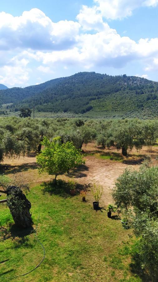 Villa Thomi Skala Rachoni  Luaran gambar