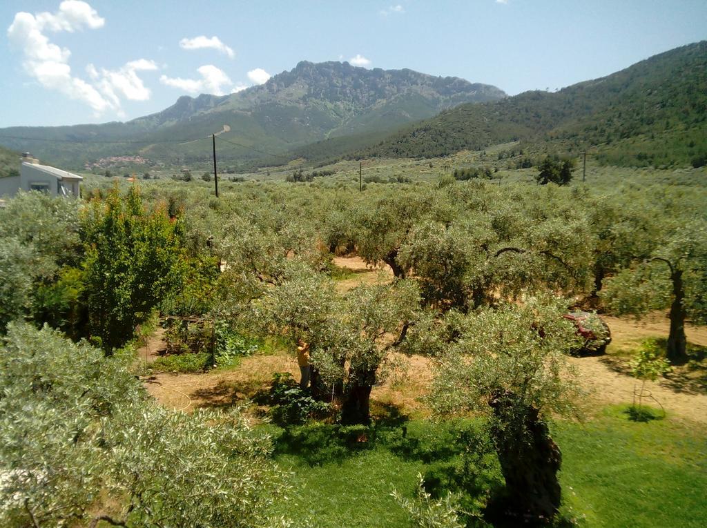 Villa Thomi Skala Rachoni  Luaran gambar