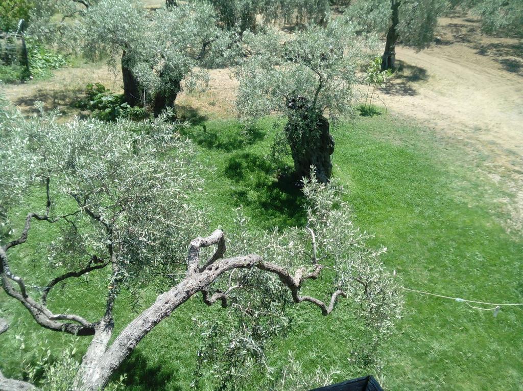 Villa Thomi Skala Rachoni  Luaran gambar