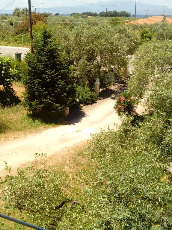Villa Thomi Skala Rachoni  Luaran gambar